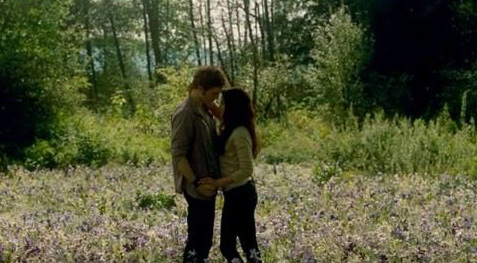 bella-edward-field.jpg