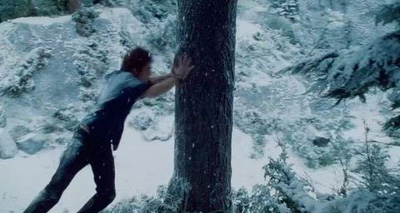 edward-pushing-tree.jpg