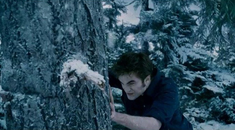 edward-tree.jpg